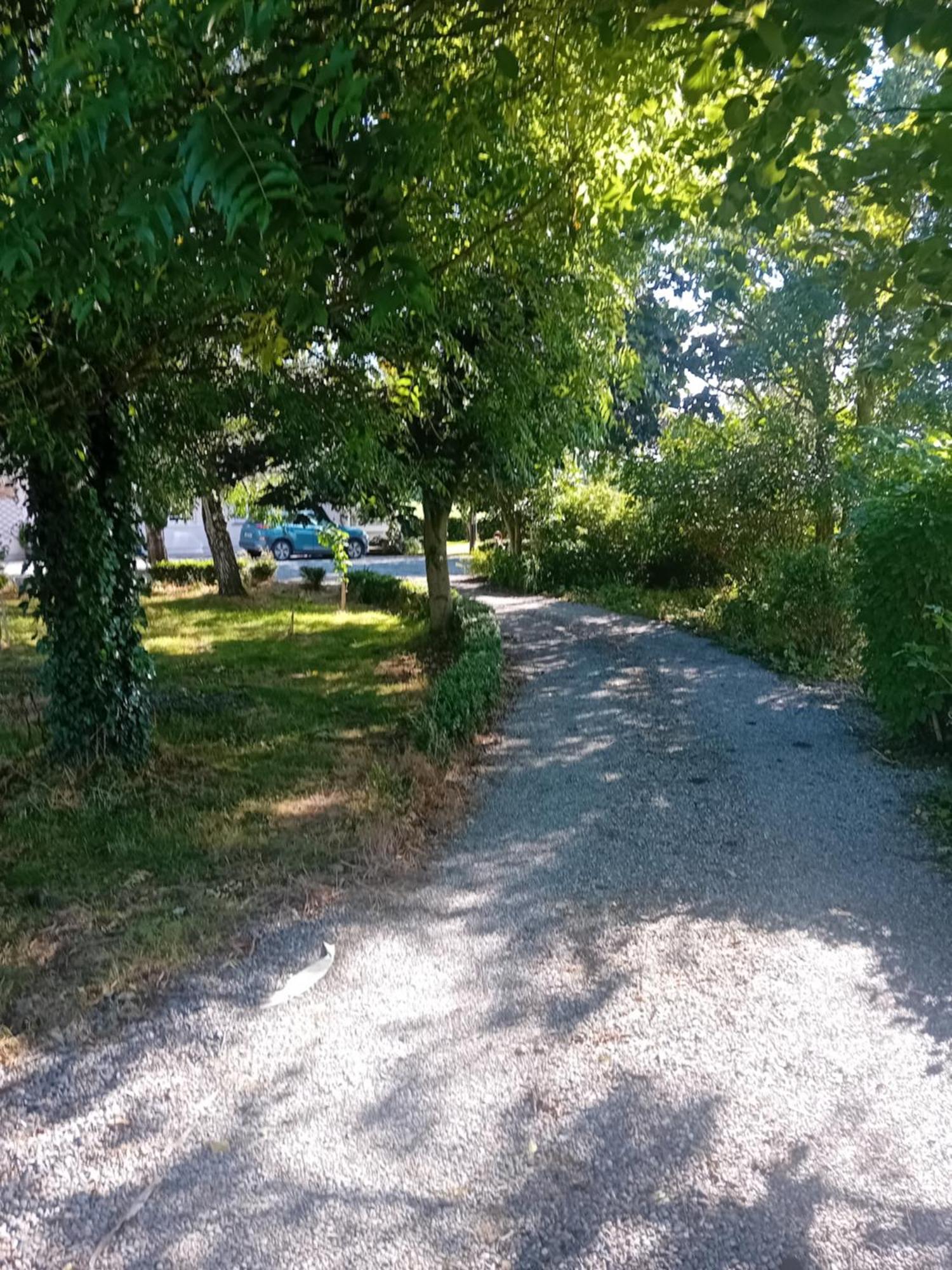 Annaswood B&B Cahir Exteriér fotografie