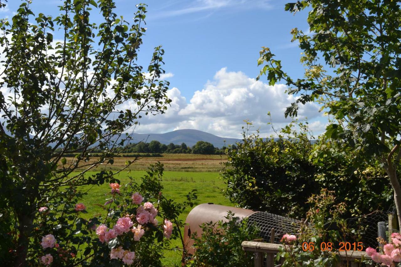 Annaswood B&B Cahir Exteriér fotografie